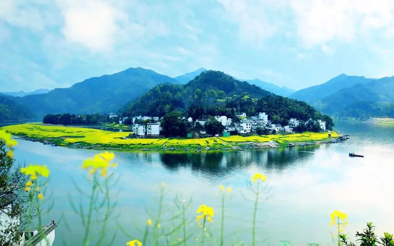 信息化全自动智能